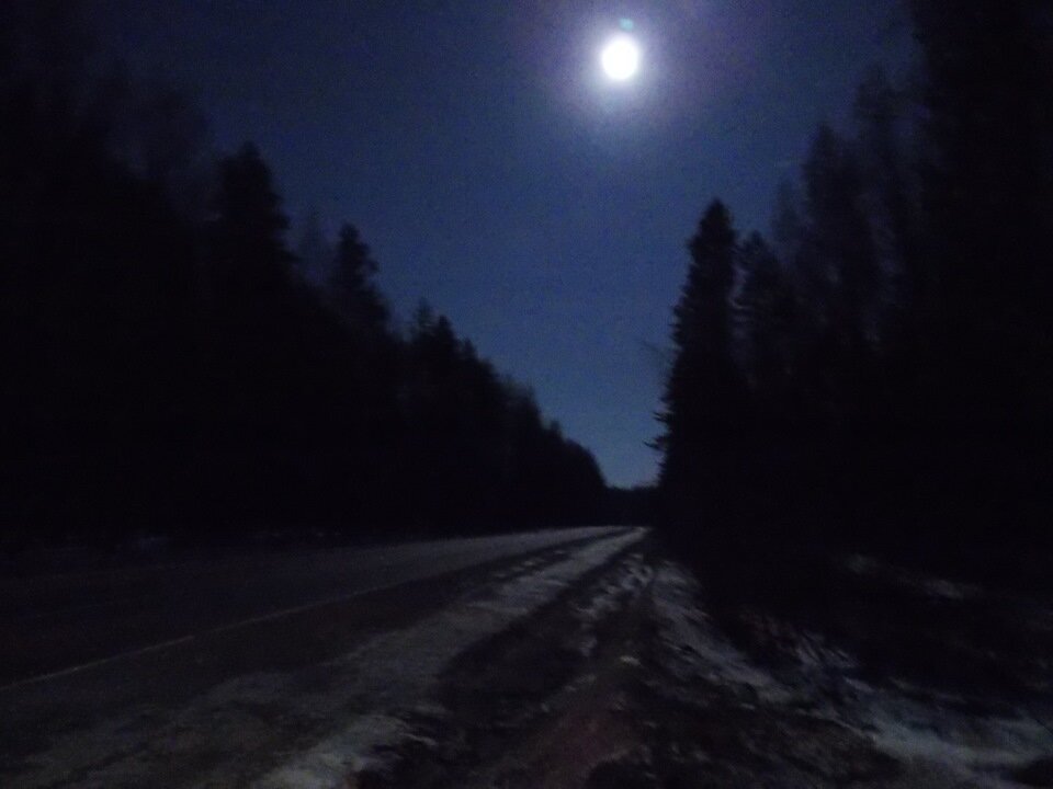 фото из сети