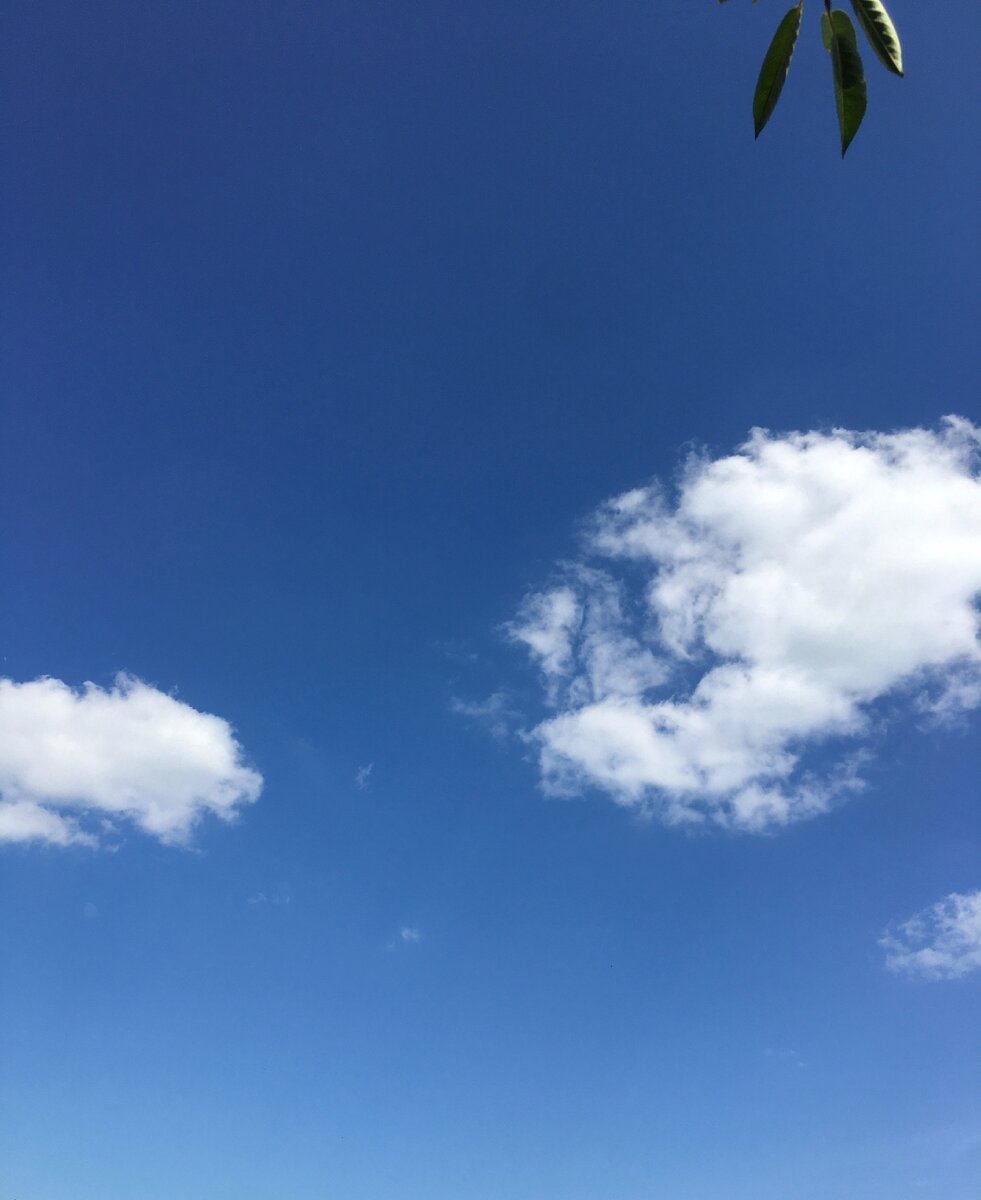 Облака... что вы мчитесь без оглядки?