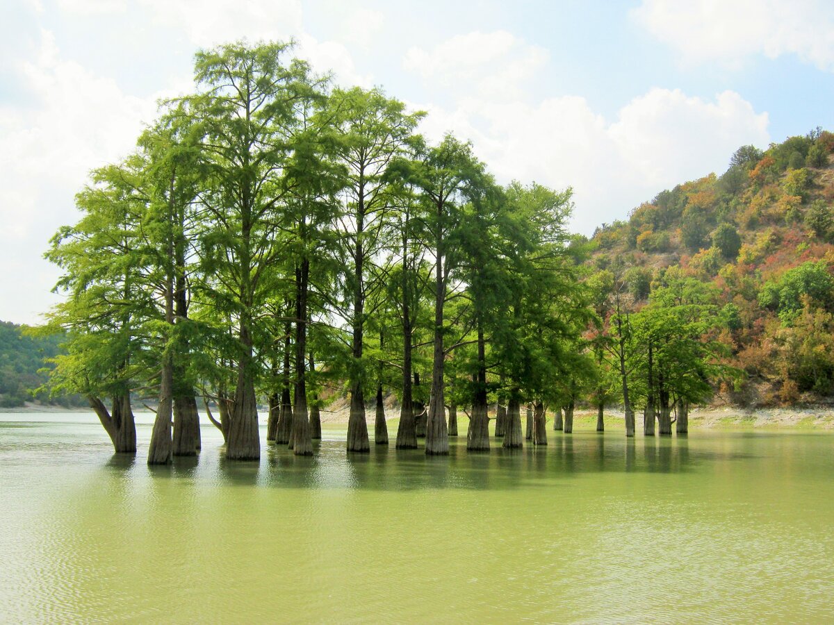 фото обложка