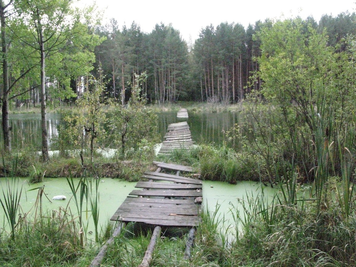 Глебовское озеро Талдомский район