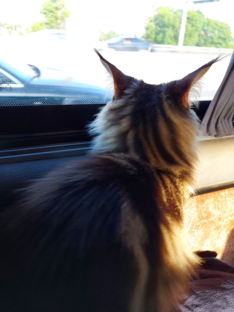 Рея чень любит смотреть в окно, когда мы едем на транспорте