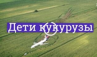 Тот самый спасшийся аэробус А321