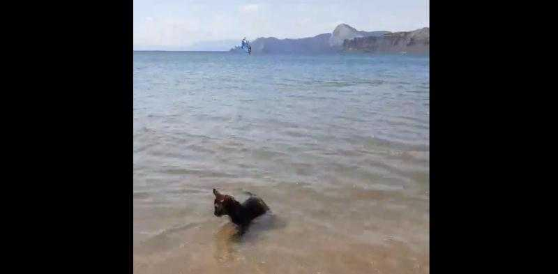 Фото: скриншот видео Видео: Сандро Кириак | Facebook     