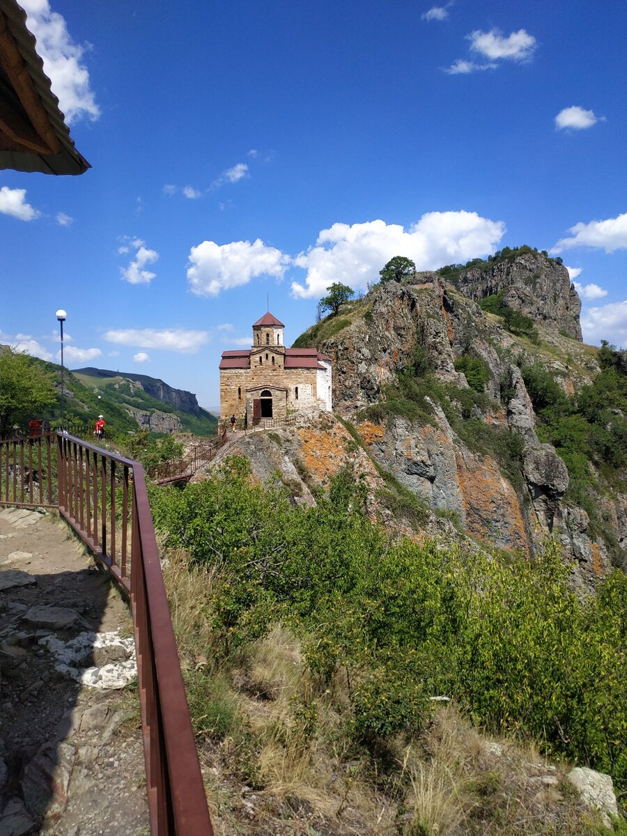 Красавец. Фото автора Ольги