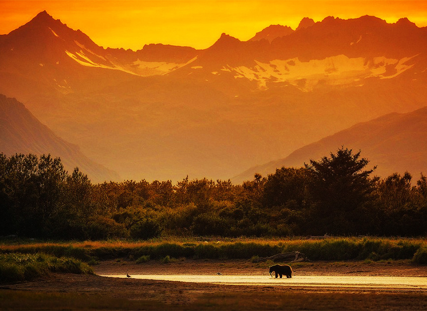 Национальный парк Катмай (Источник Google картинки)