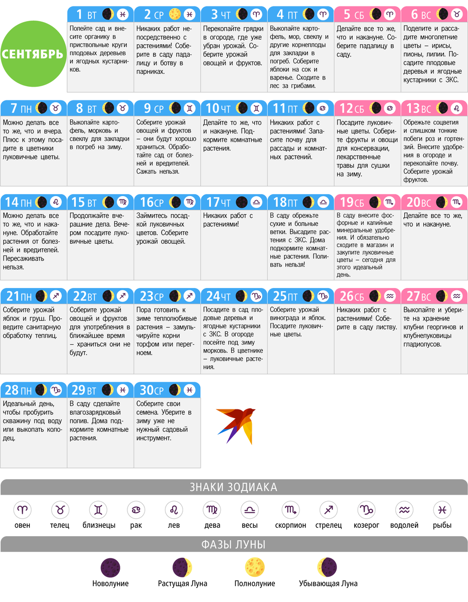 Лунный посевной календарь на сентябрь. Лунный календарь на октябрь 2020 садовода. Лунный календарь на сентябрь 2020 года садовода и огородника. Лунный календарь на сентябрь 2020 огородника. Лунный посевной календарь на октябрь 2020 года садовода и огородника.