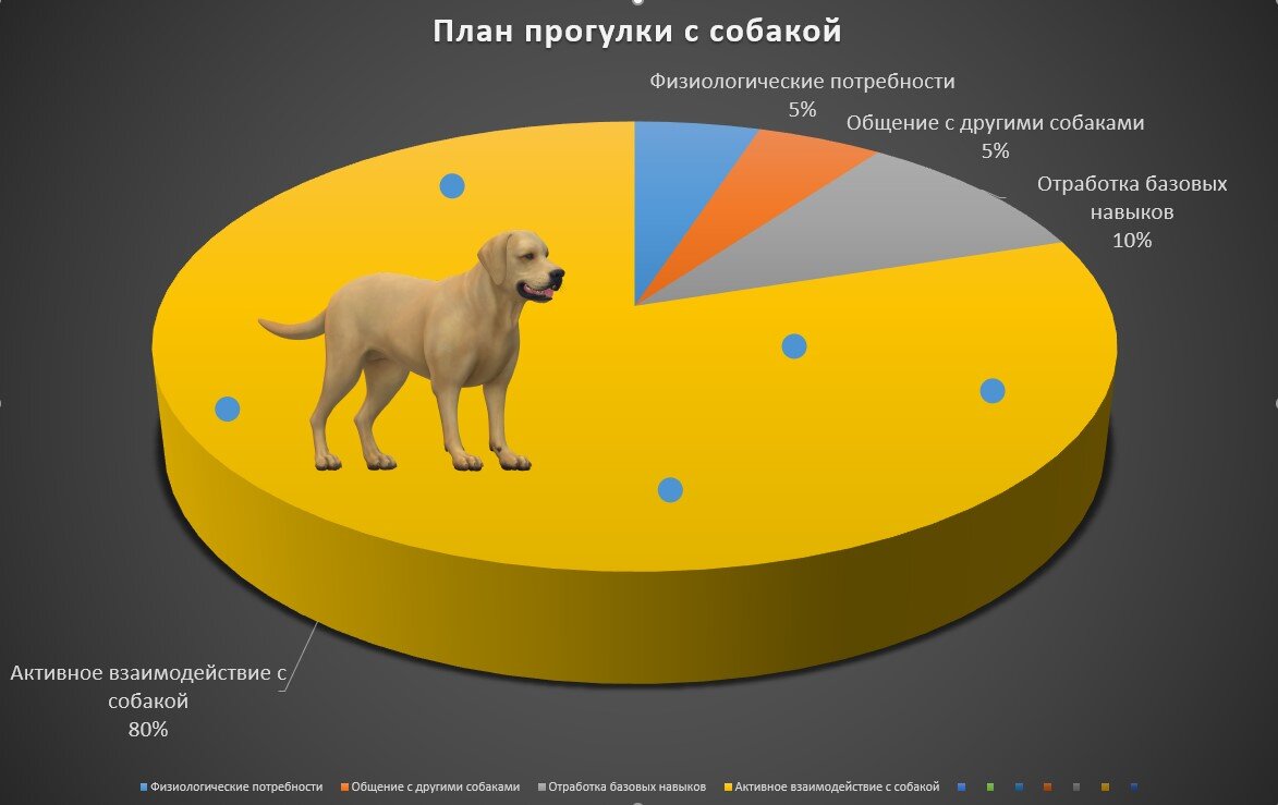 Основа собаки. План идеальной прогулки.