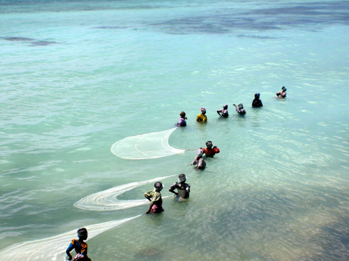 Фото: Matt Kieffer/Flickr.com