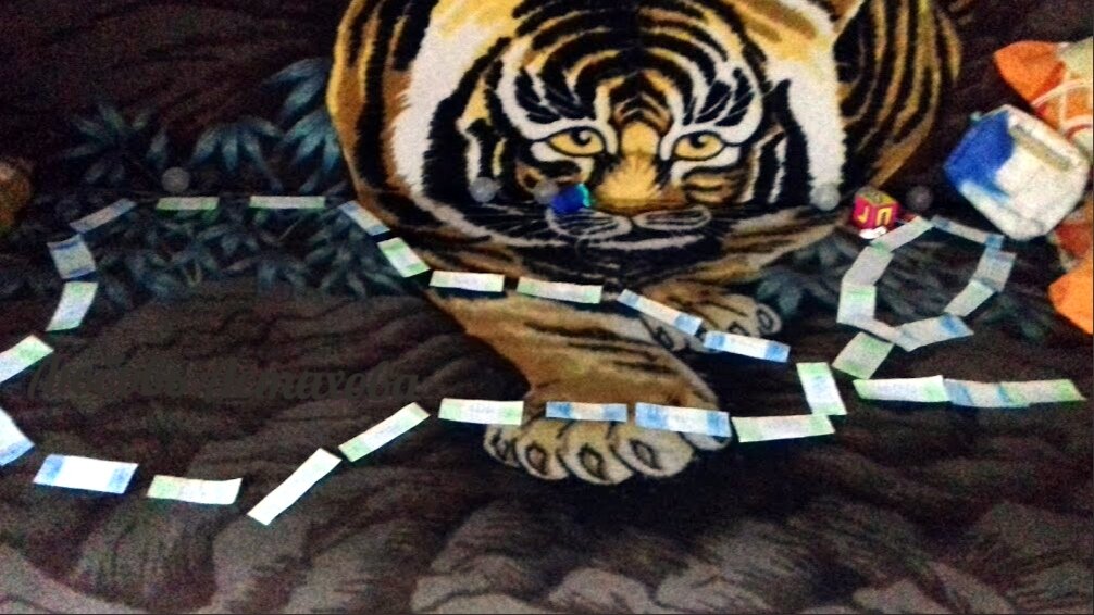 Происходит это потому, что люди получают возможность творить свою жизнь на своё усмотрение, так как они видят и хотят. А нам нужно только наблюдать и дождаться результатов. 