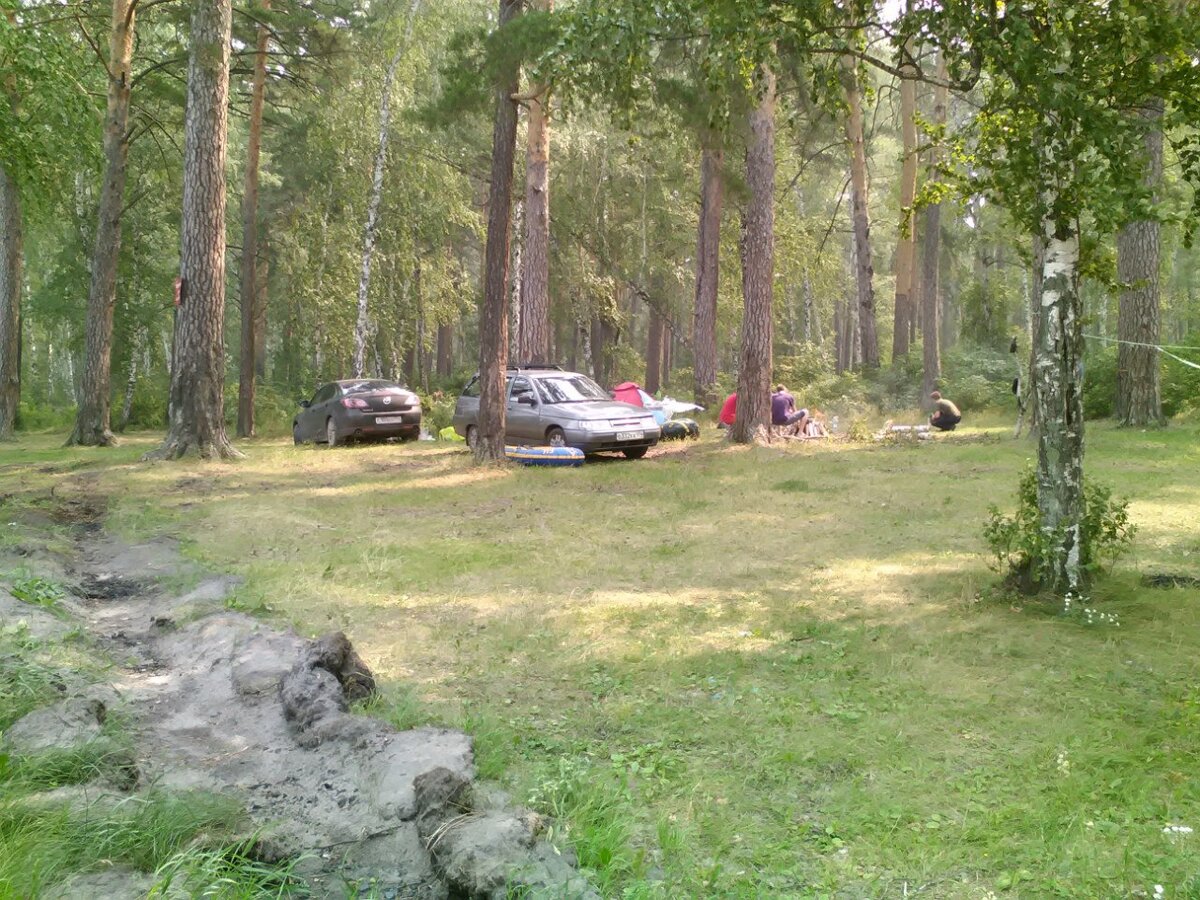 Остановились на отличной поляне! Обустраиваем лагерь!