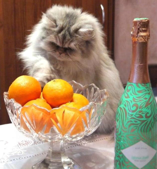 Из личного архива