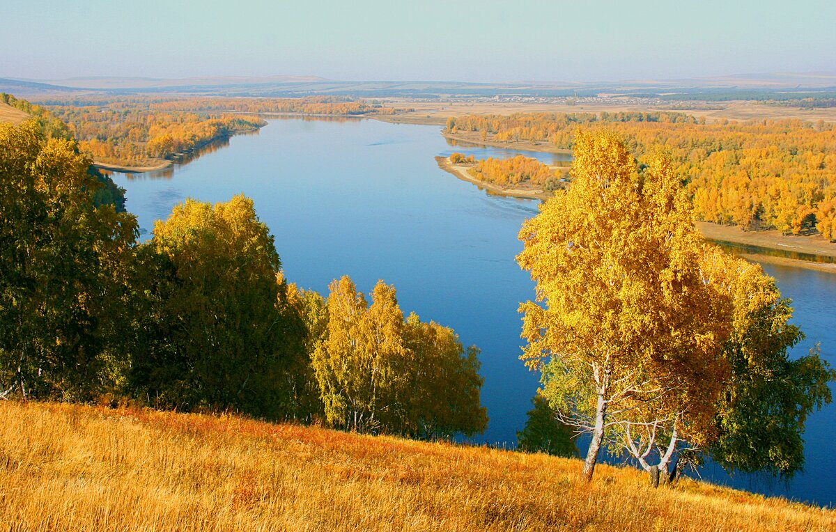 У излучины реки ялмы в старой. Енисей Излучина. Излучина реки Миасс. Лучшие виды России на излучине реки.