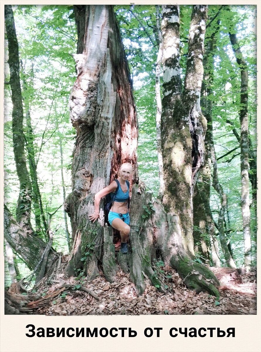 Светлана Птицына