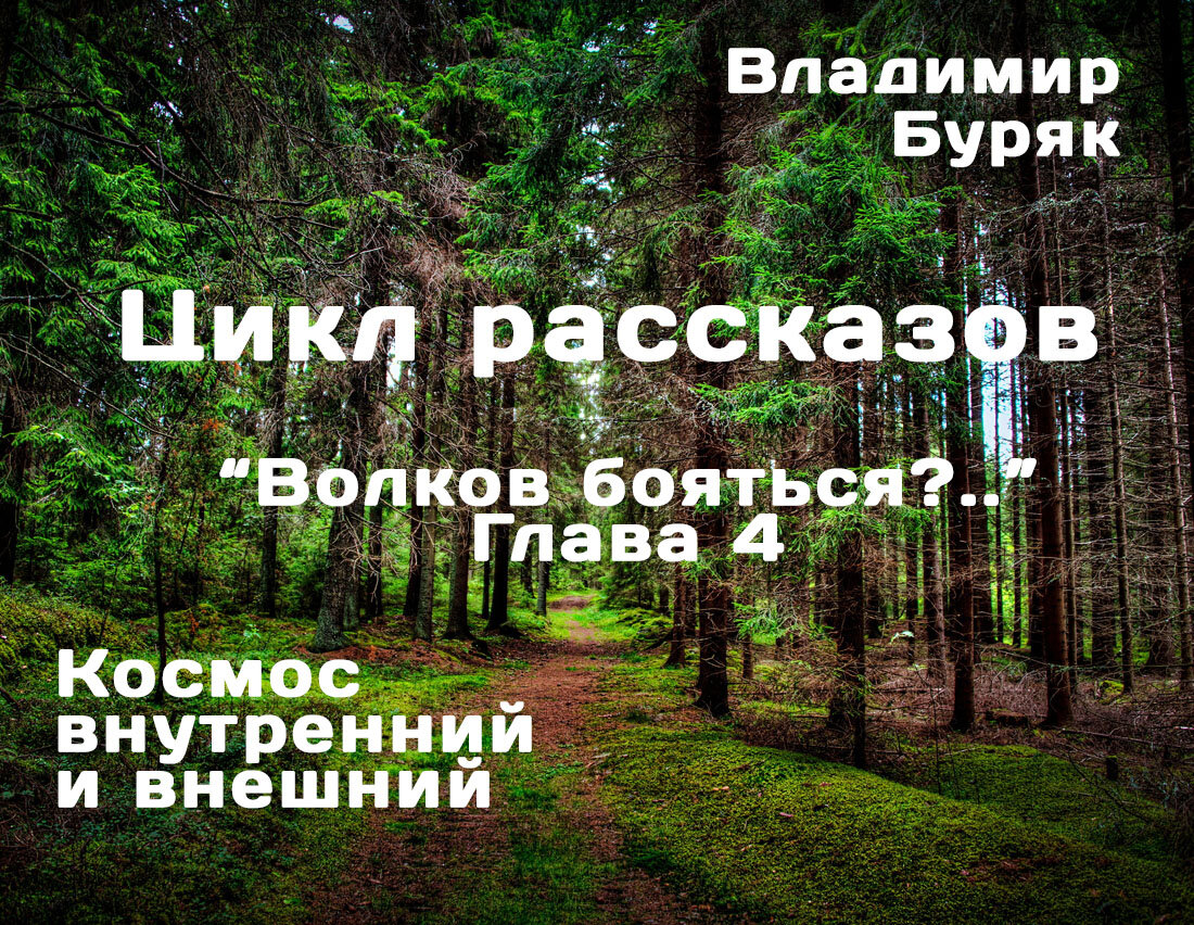 В иллюстрации автора использовано изображение из свободных источников
