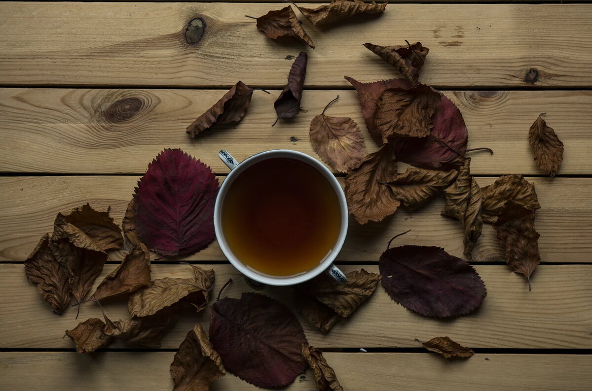 источник unsplash.com