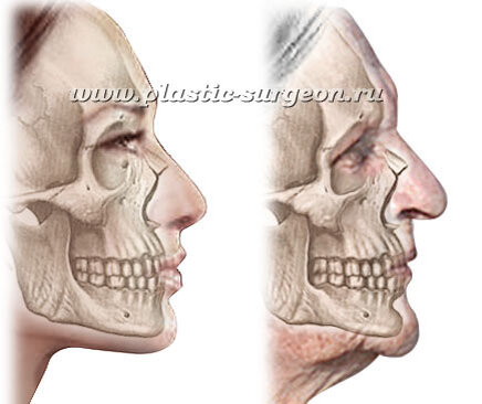 https://plastic-surgeon.ru