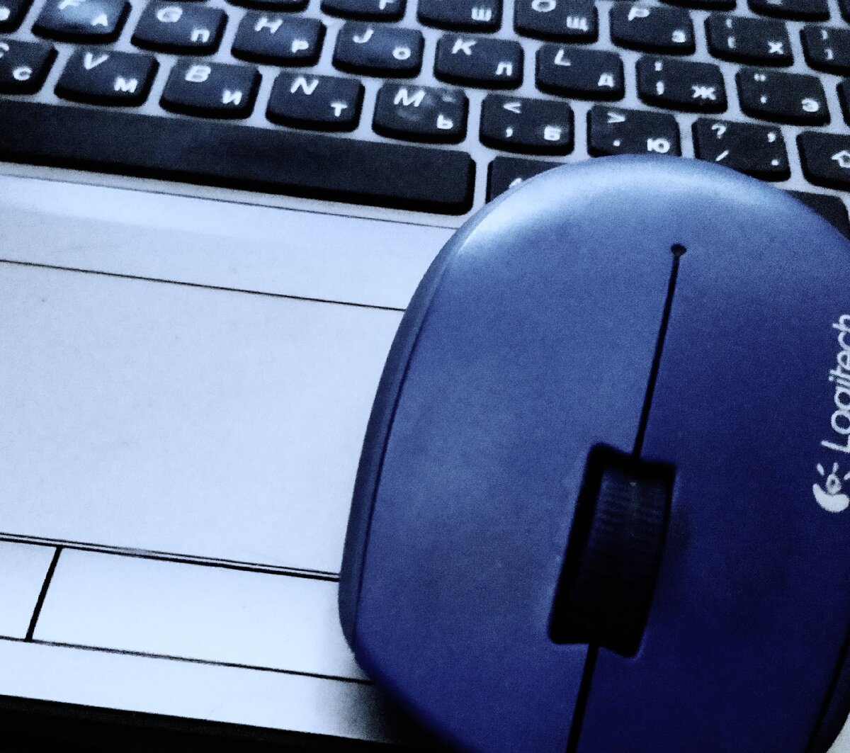 Моя мышь. Не дорогая.