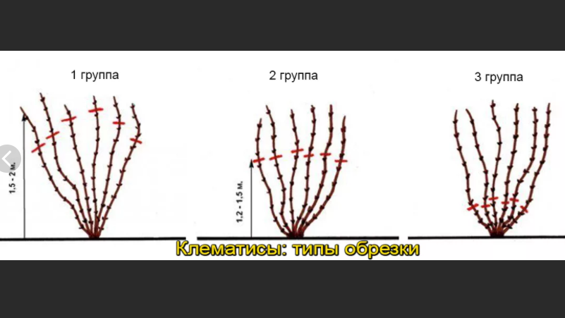 фото взято из интернета