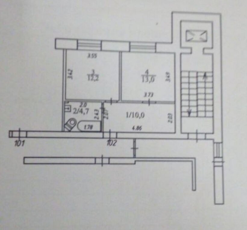 Так она выглядела до деления. 