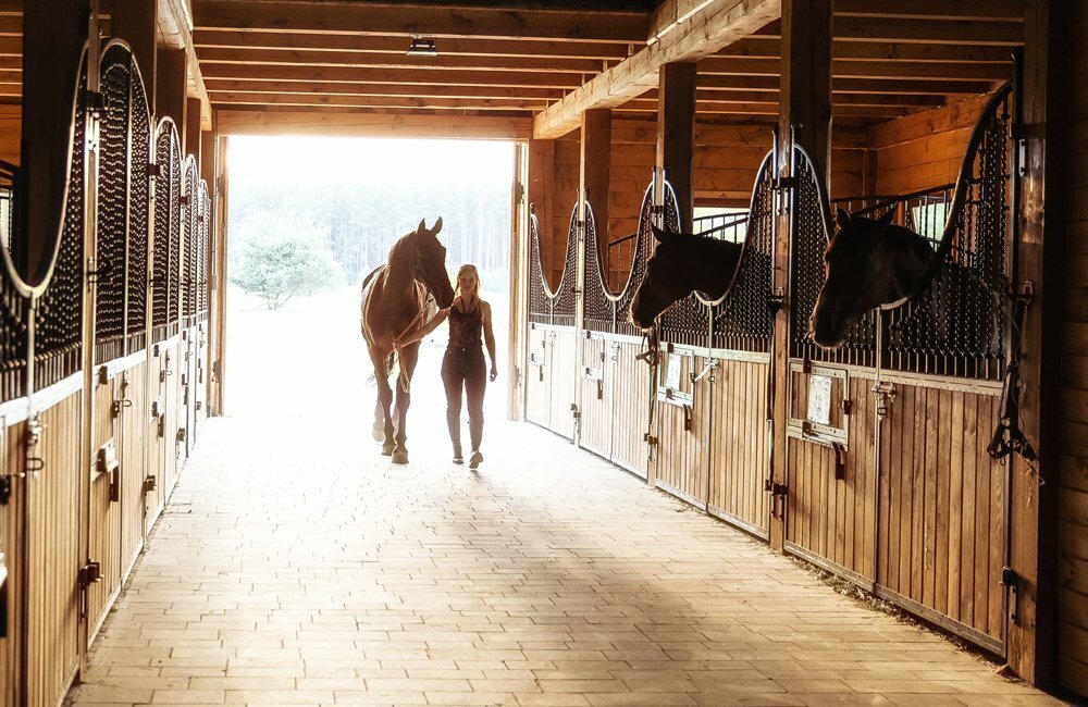 3. Организация путешествия