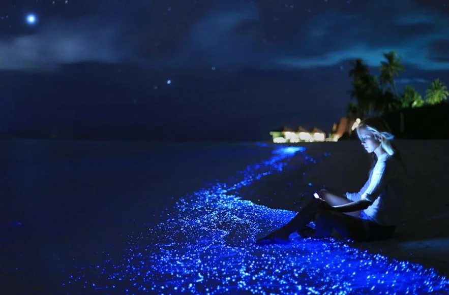 Хочется воды ночью. Остров Ваадху Мальдивы. Остров Ваадху Мальдивы светящийся пляж. Остров Фуладху Мальдивы. Остров Ваадху, Мальдивы. Планктон.