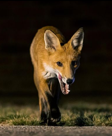 Источник фото @irrational_geographic