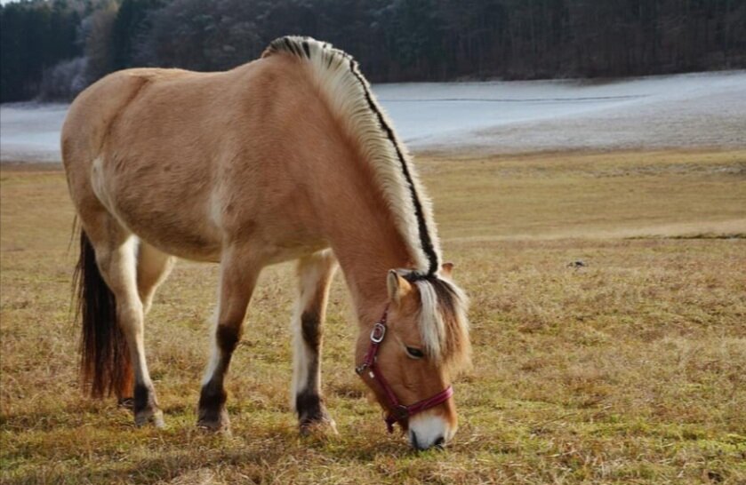 Фото из открытых источников. 