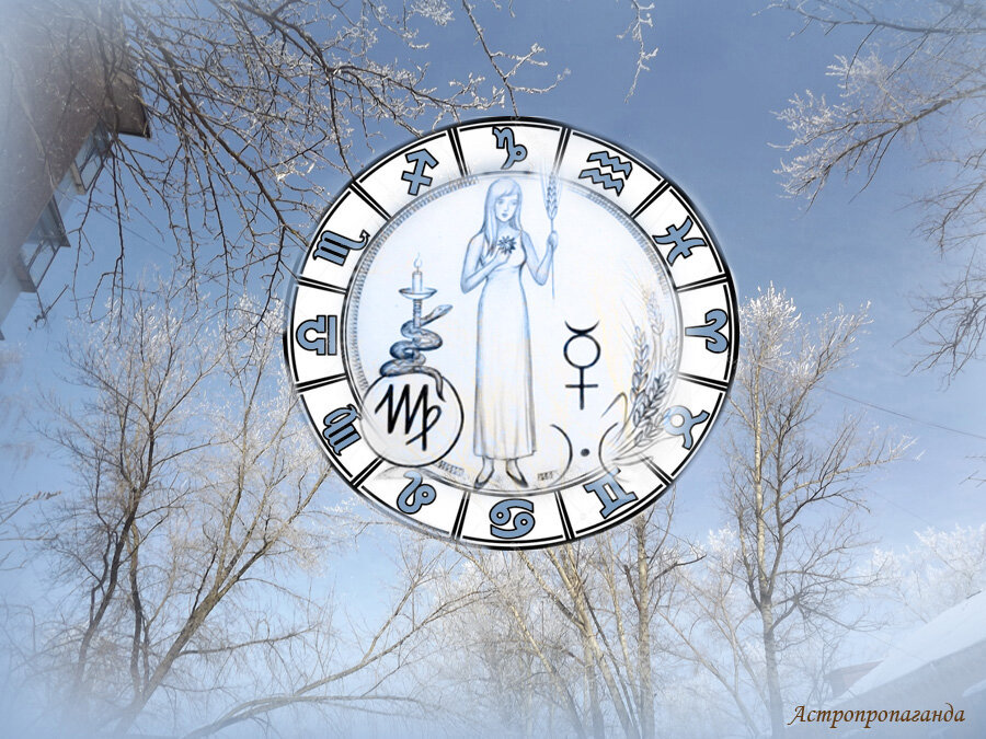 Коллаж Нины Стрелковой.