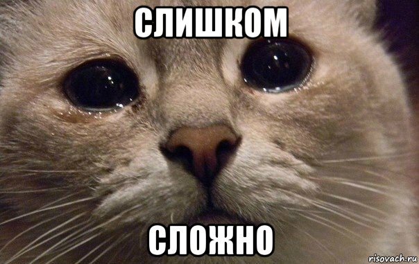 Иллюстрация к тексту. Взято из поиска яндекс.