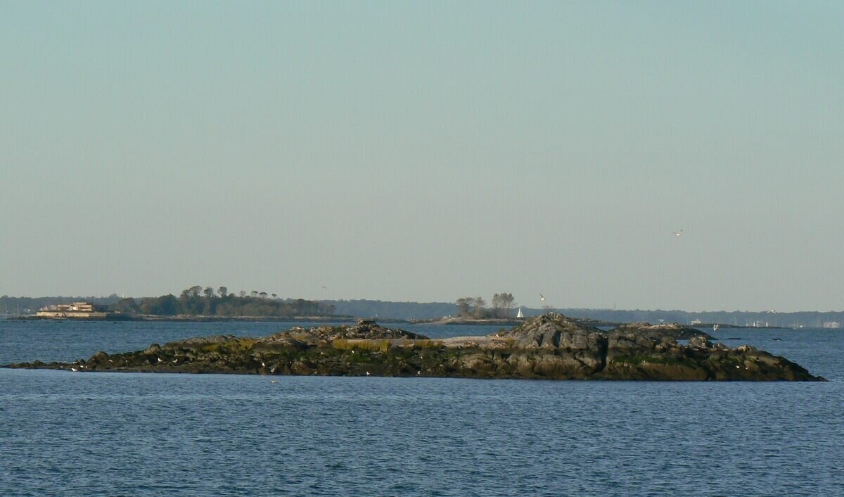 Крысиный остров