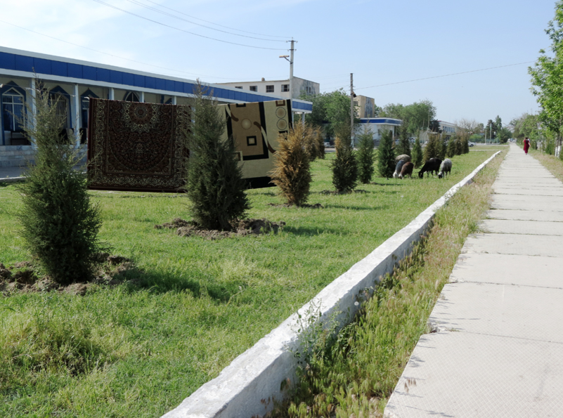 Погода орзу 10. Гулистан Жилгородок. Город Гулистан Узбекистан. Город Наманган Гулистан. Станция голодная степь Сырдарьинская область.