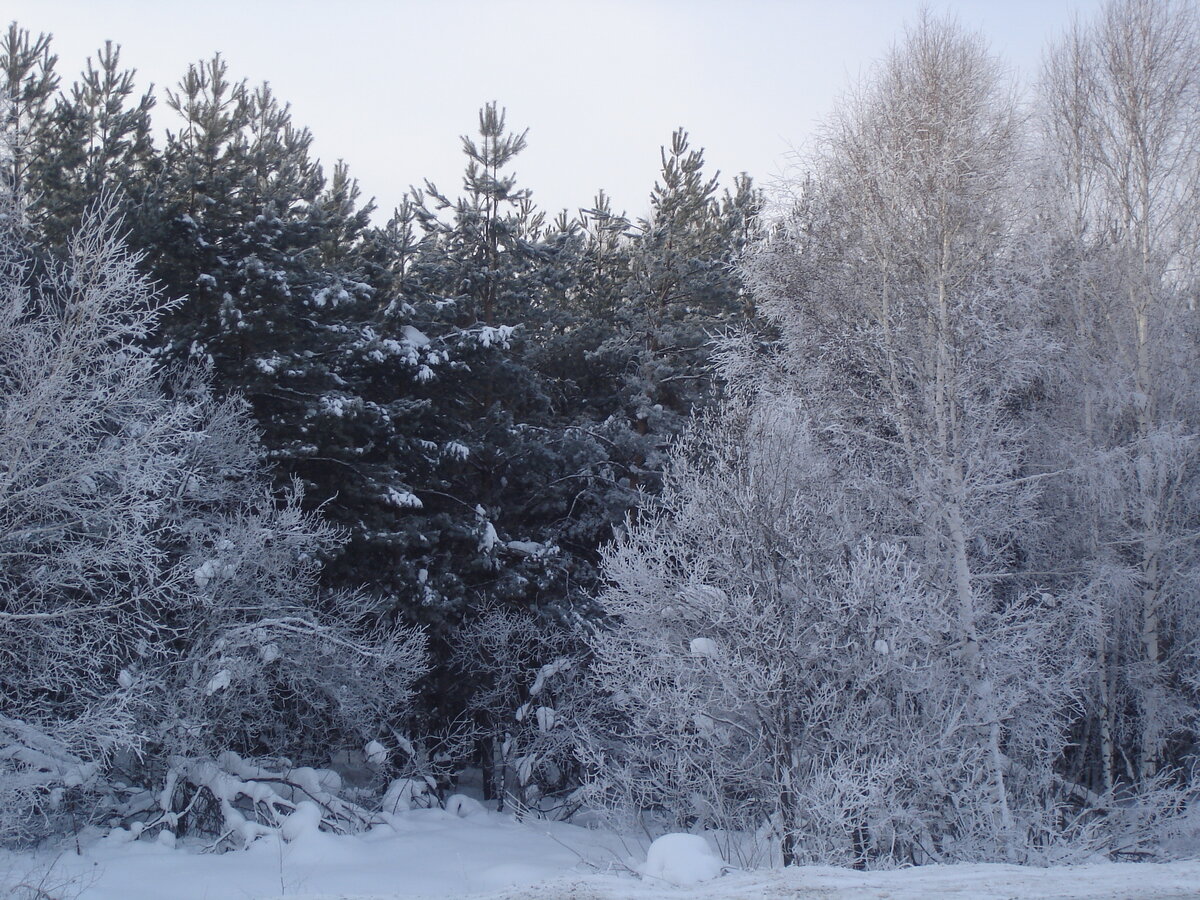 Красива зима на Алтае