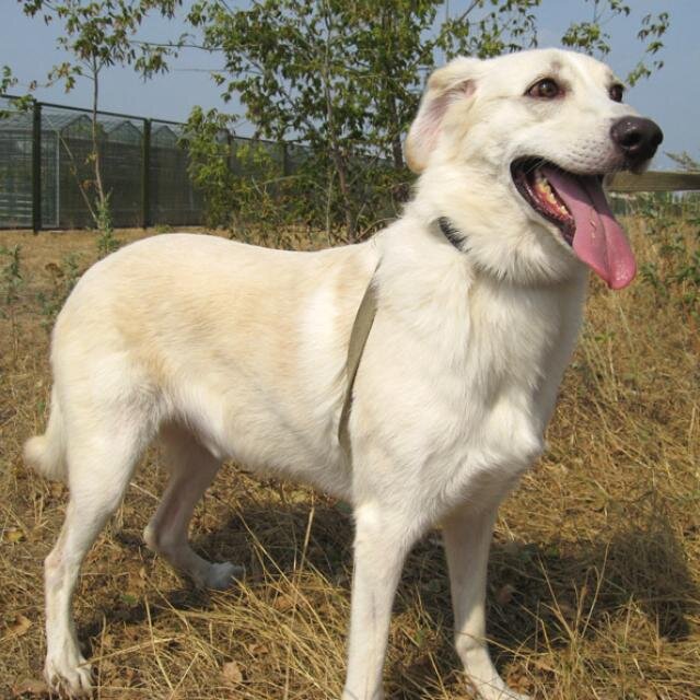 Лори после пробежки