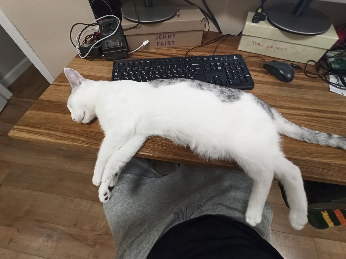 -2