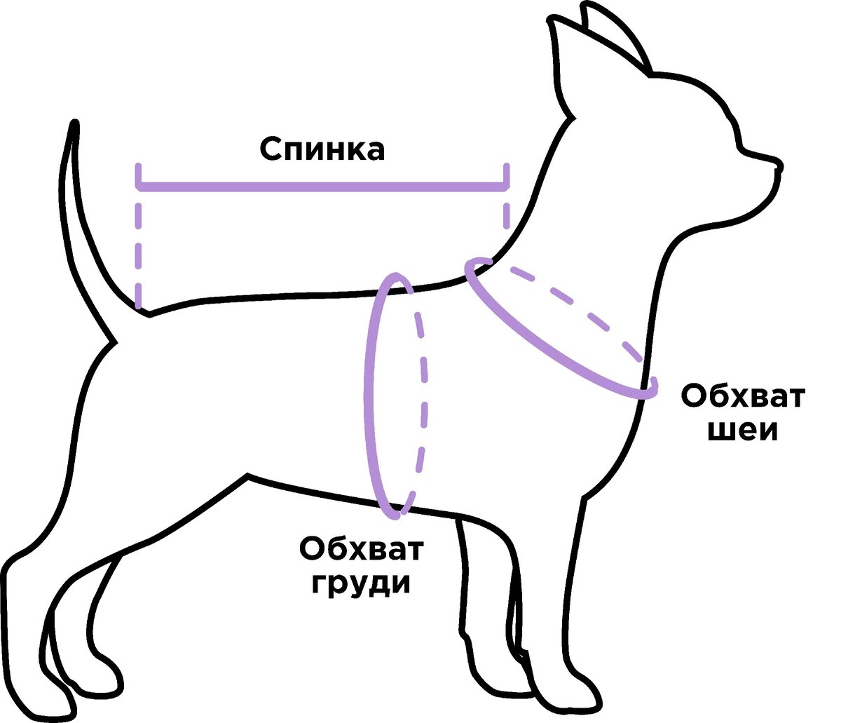 Шьем собаке жилет