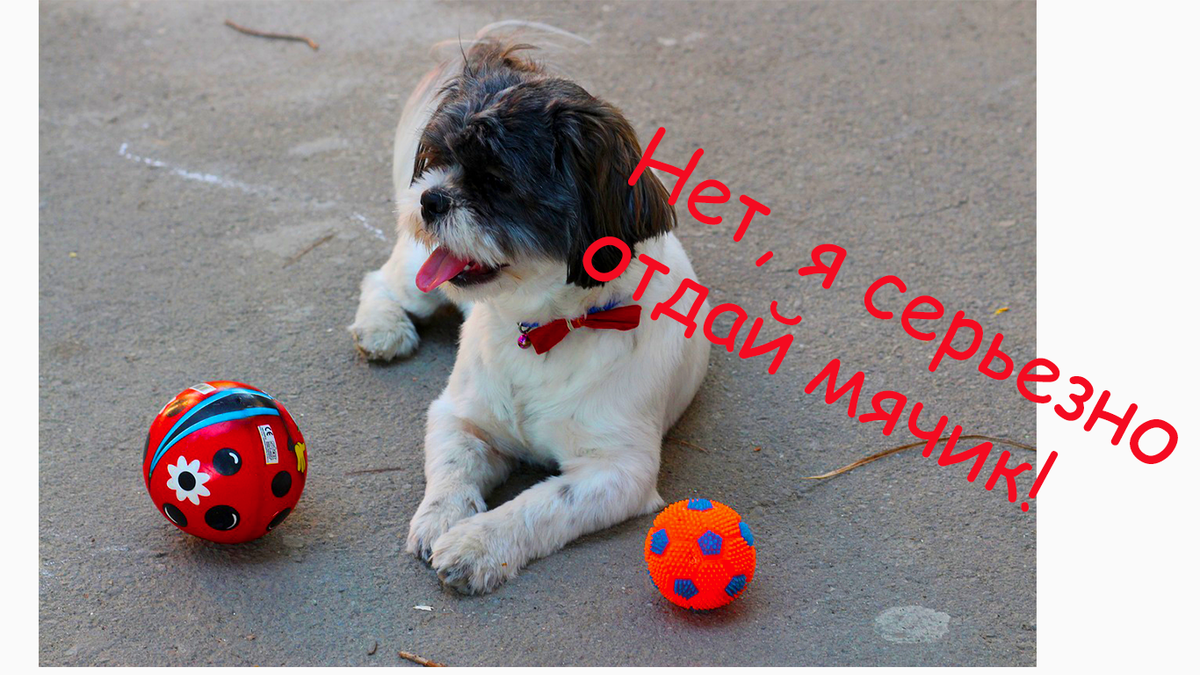 Простая игра, которая может увлечь детей на полдня 