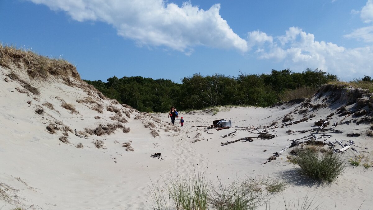 Куршская коса.