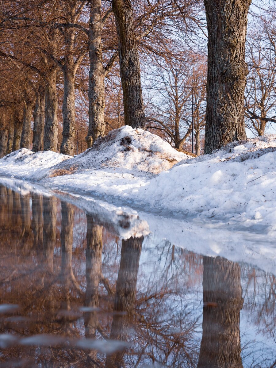 Photo by Tapio Haaja on Unsplash