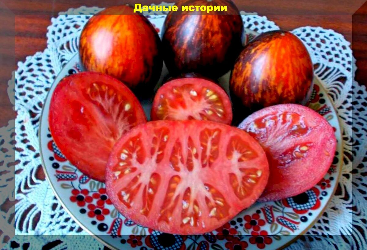 https://vk.com/photo-159774511_457246148