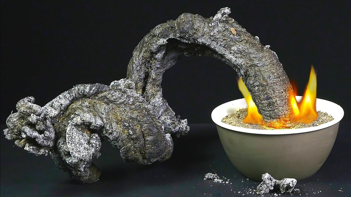 Фото взято из поисковой системы Яндекс