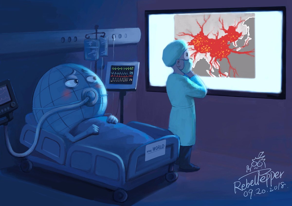 Фото взято из открытых источников интернета