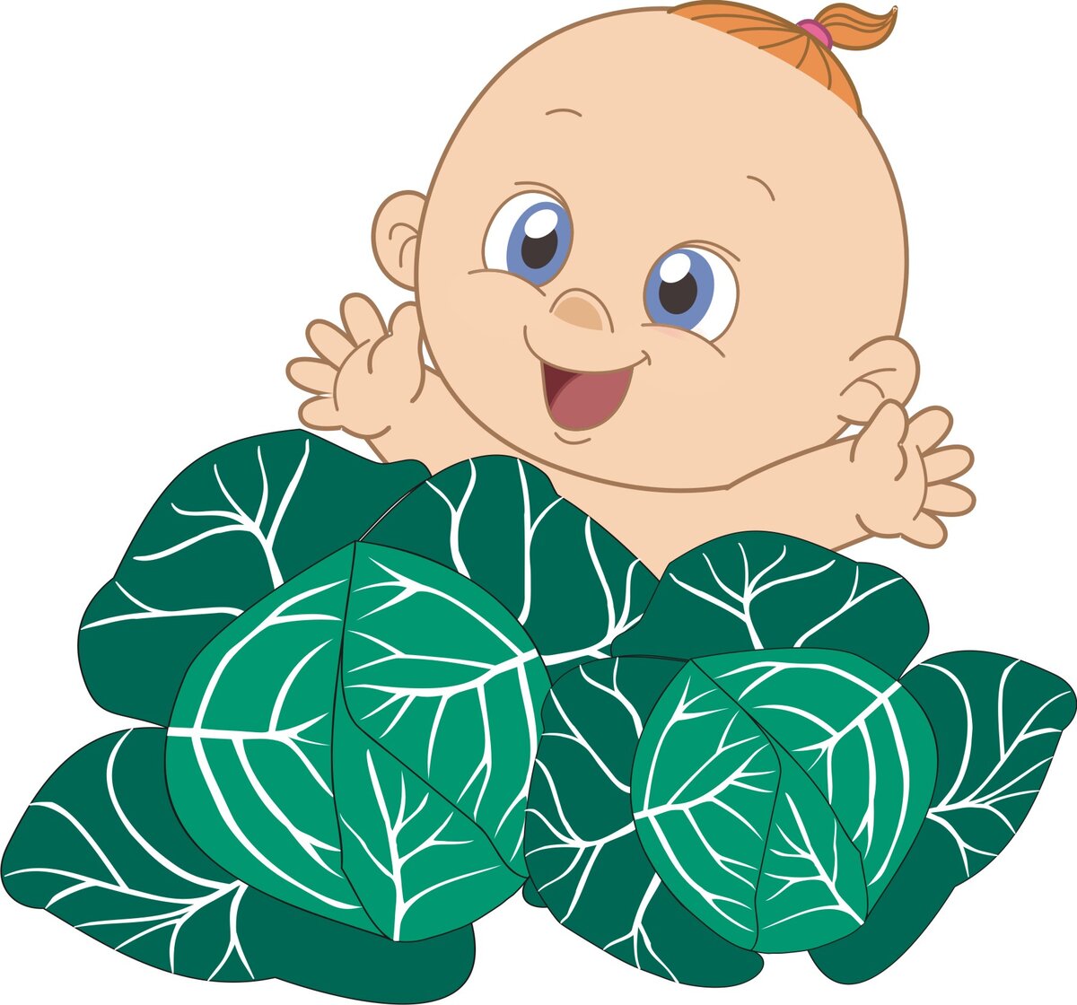 малыш в капусте яндекс картинки