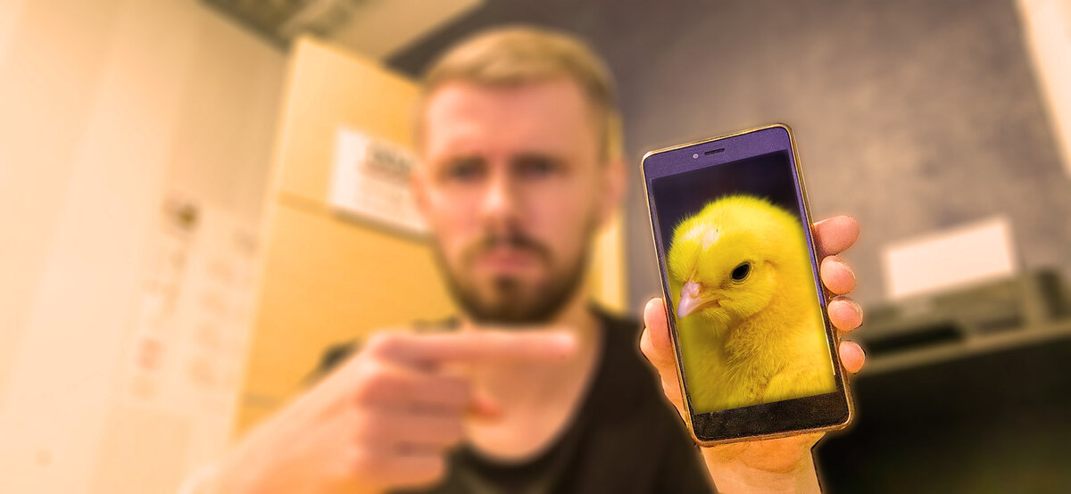 Мой цыпленок желтее чем вы напечатали!