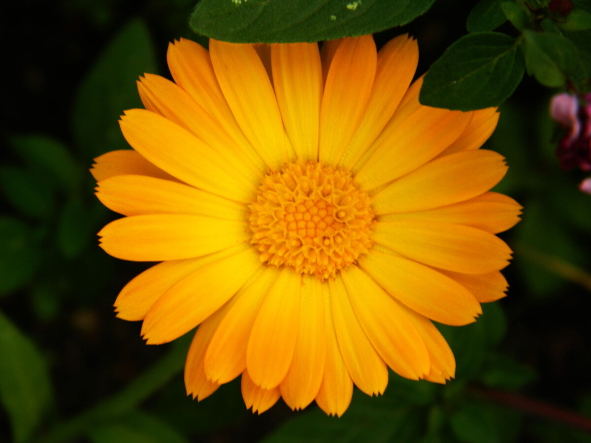 фото автора канала