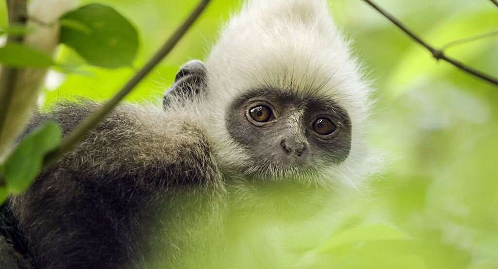 фото - Кадр из фильма, использовано в качестве иллюстрации. Источник: Яндекс Картинки 