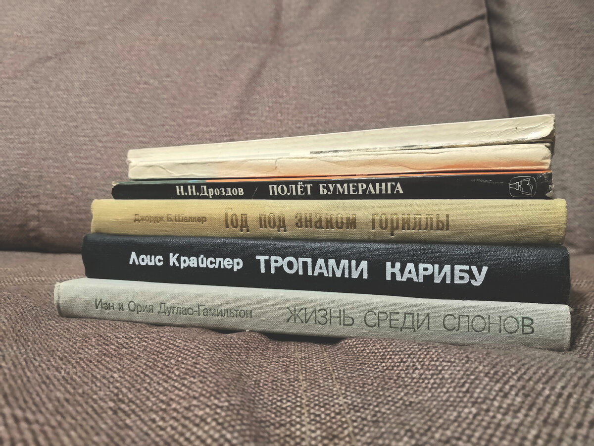 Стопка букинистики