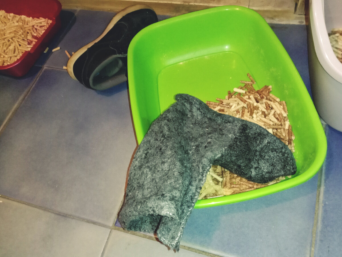 Часто меня встречает вот такая картина, когда я иду убирать лоток. Ну чтоб наверняка, наверное:) Хорошо хоть мебелью не завалила, и на том спасибо.