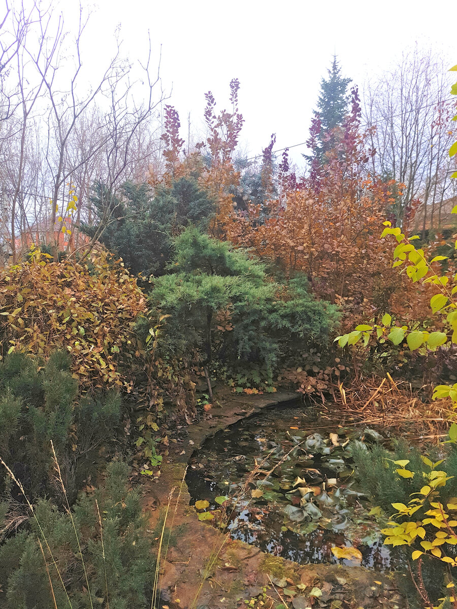 Пасмурно. Зато +13