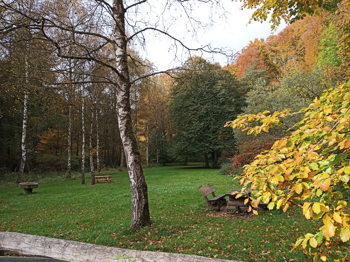 Площадка для отдыха, Hohenstein, фото автора