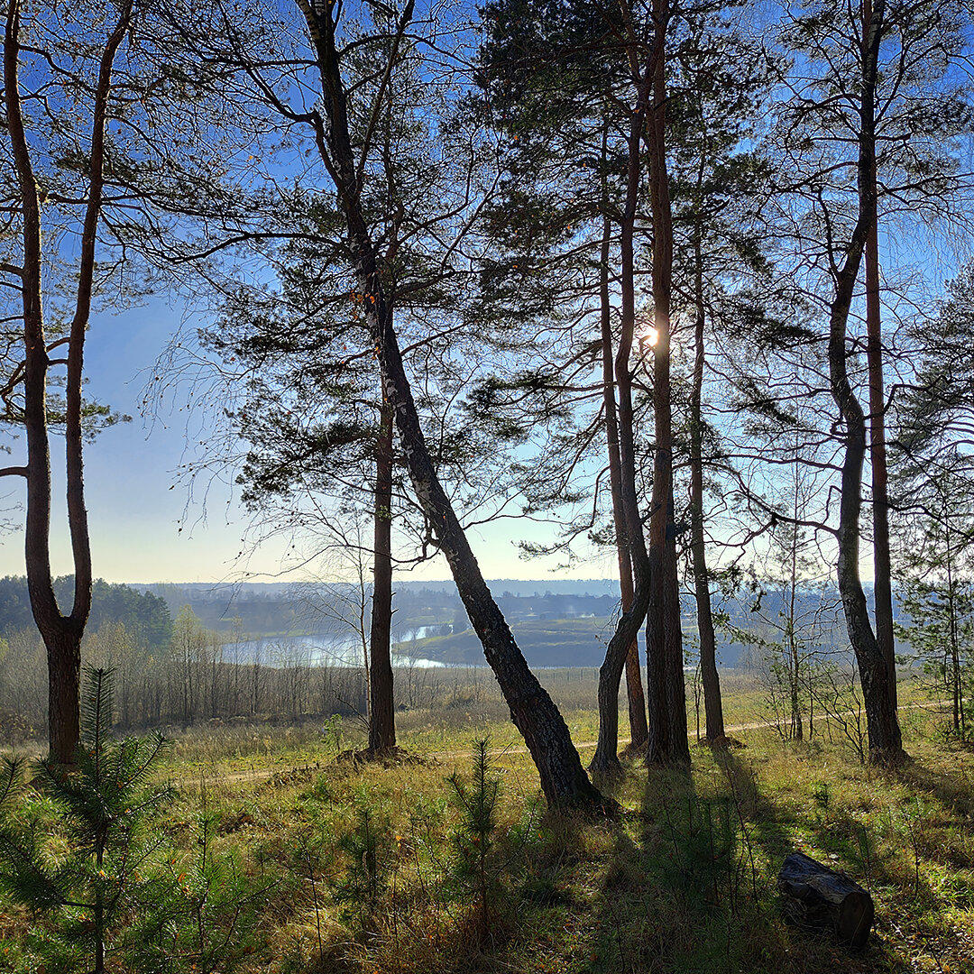 Хорошо в осеннем лесу